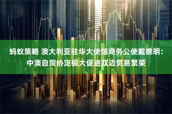 蚂蚁策略 澳大利亚驻华大使馆商务公使戴德明：中澳自贸协定极大促进双边贸易繁荣