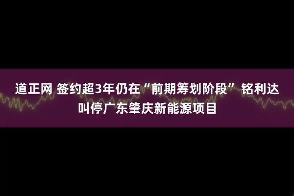 道正网 签约超3年仍在“前期筹划阶段” 铭利达叫停广东肇庆新能源项目