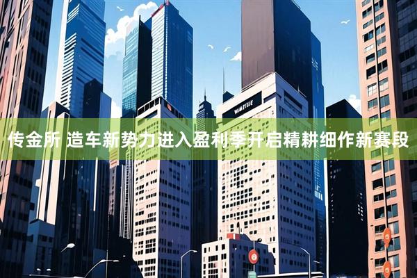 传金所 造车新势力进入盈利季开启精耕细作新赛段