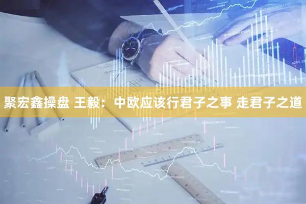 聚宏鑫操盘 王毅：中欧应该行君子之事 走君子之道