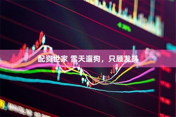 配资世家 雪天遛狗，只顾发抖