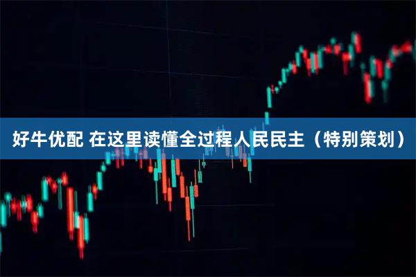 好牛优配 在这里读懂全过程人民民主（特别策划）