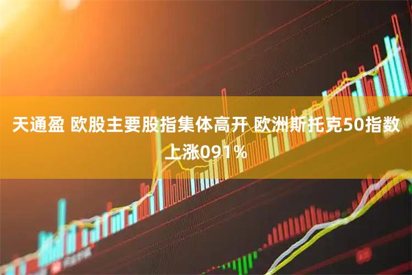 天通盈 欧股主要股指集体高开 欧洲斯托克50指数上涨091%